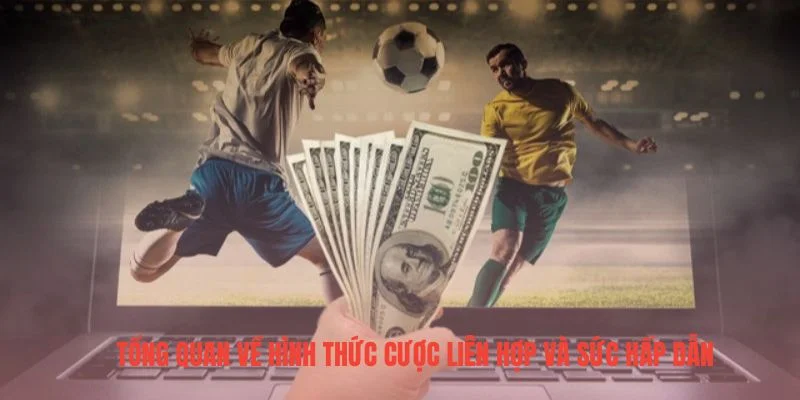 Tổng quan về hình thức cược liên hợp và sức hấp dẫn